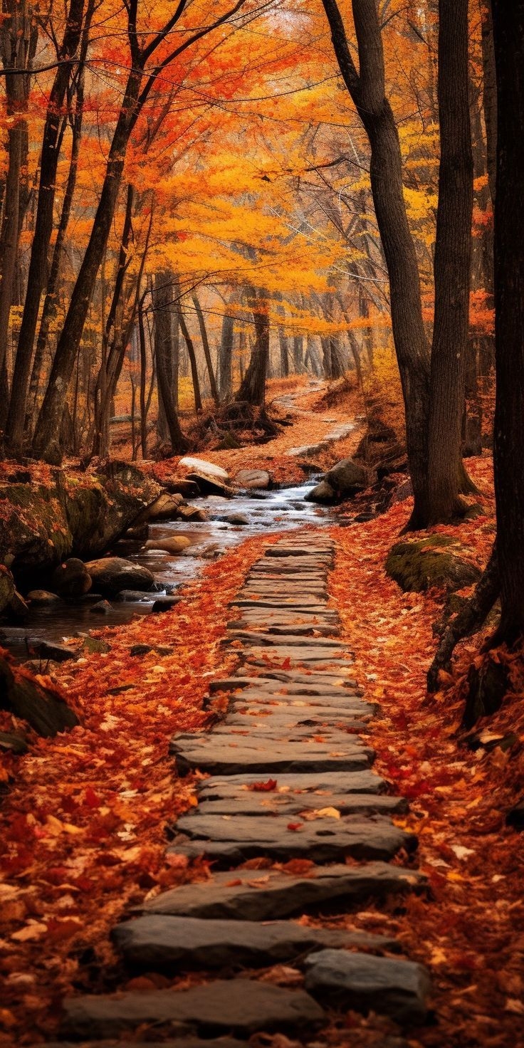 100 Gorgeous Free Fall Phone Wallpapers
