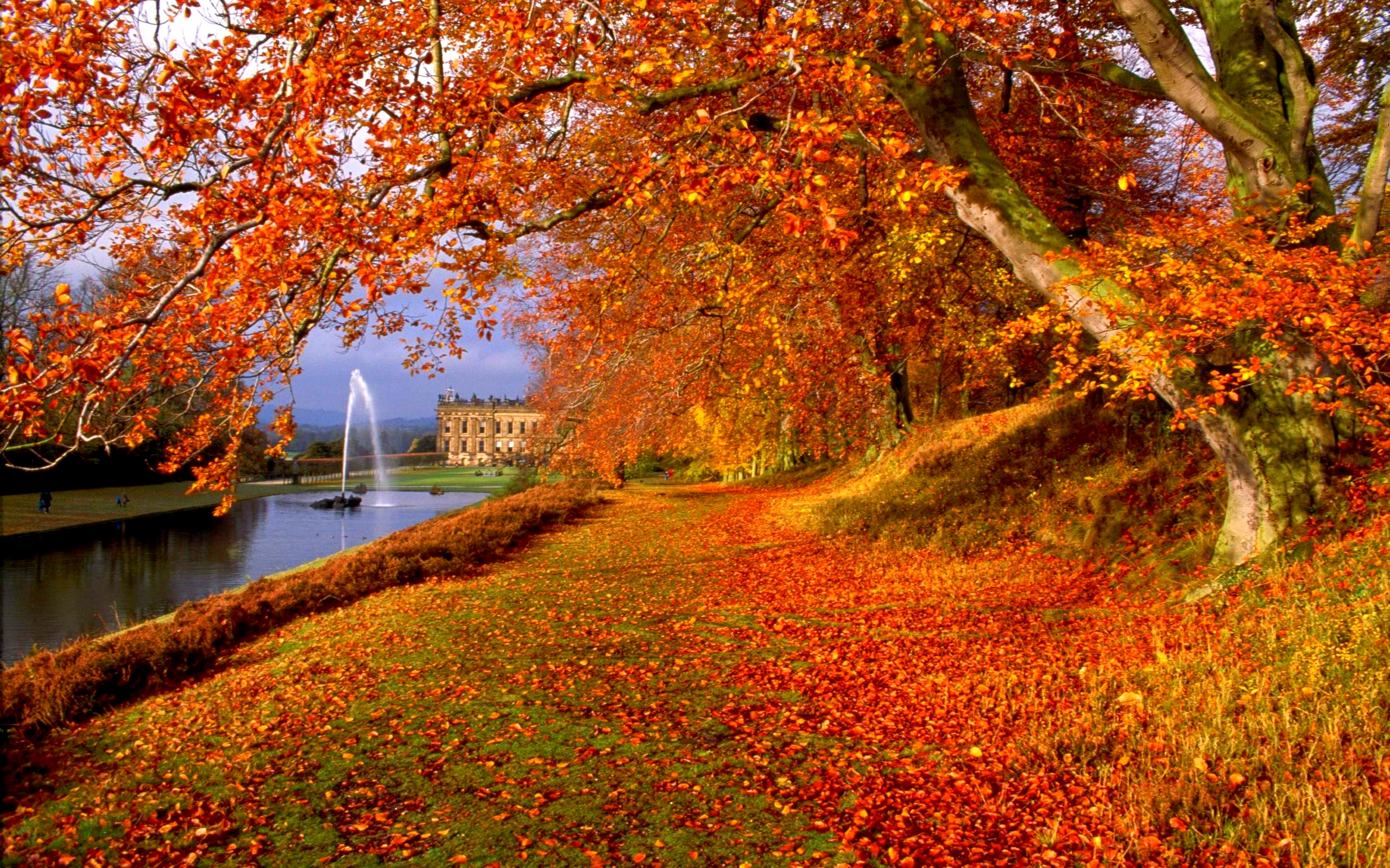 140 Free Autumn Wallpapers WallpaperSafari 140 Free Autumn Wallpapers WallpaperSafari