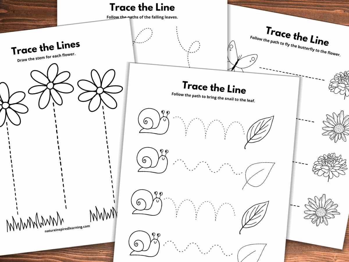 17 Line Tracing Worksheets Free Nature Inspired Learning