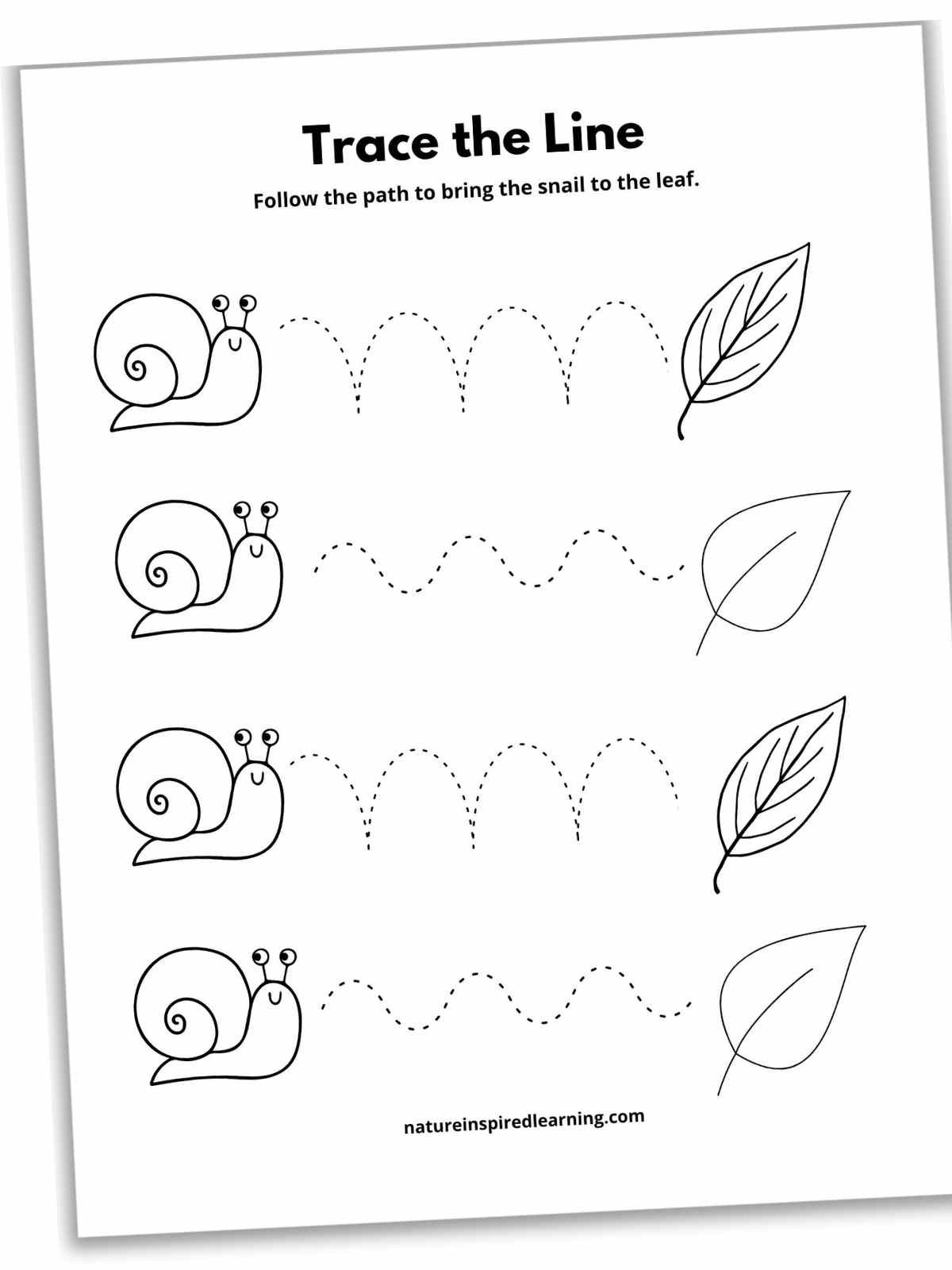 17 Line Tracing Worksheets Free Nature Inspired Learning
