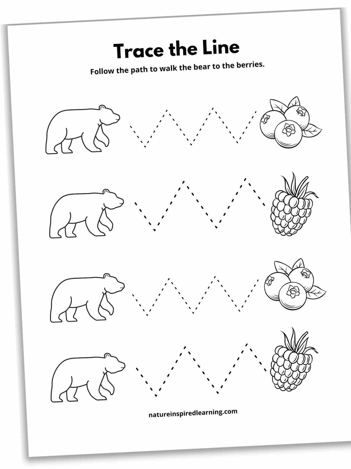 17 Line Tracing Worksheets Free Nature Inspired Learning