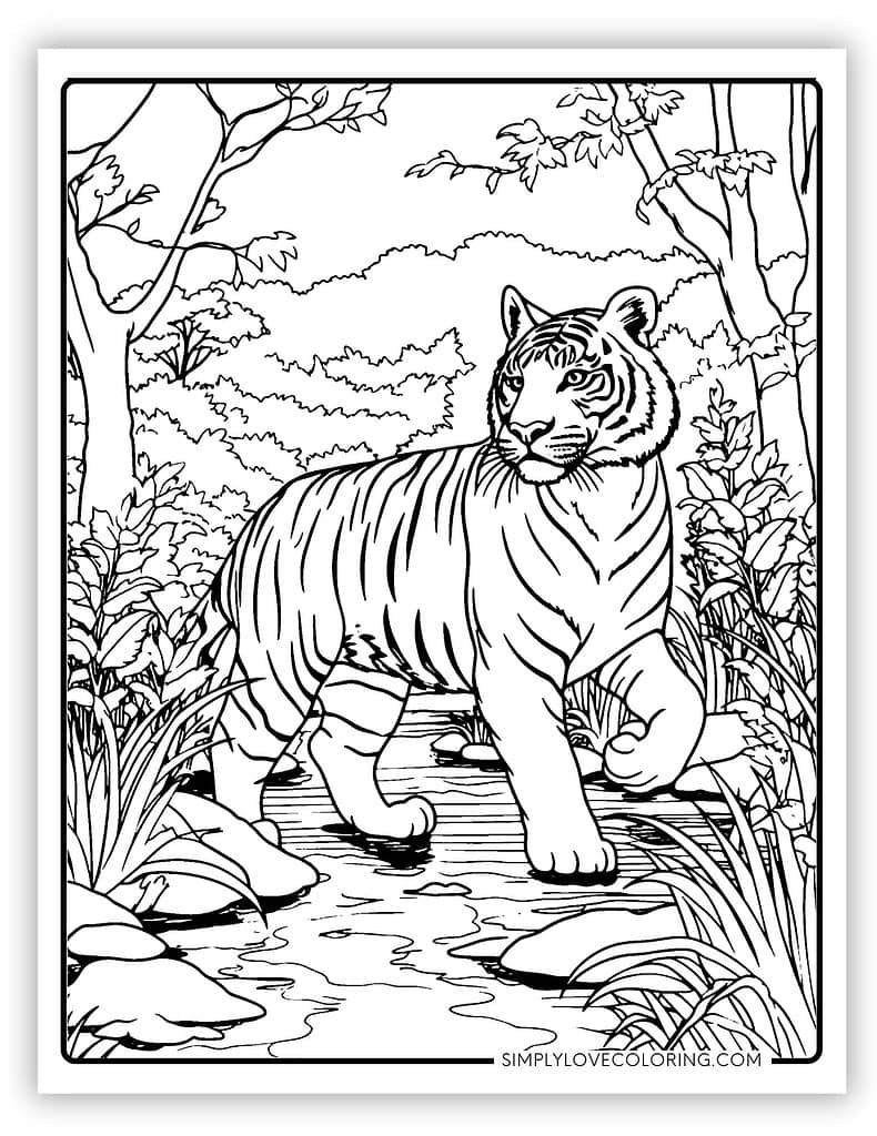 tiger coloring pages