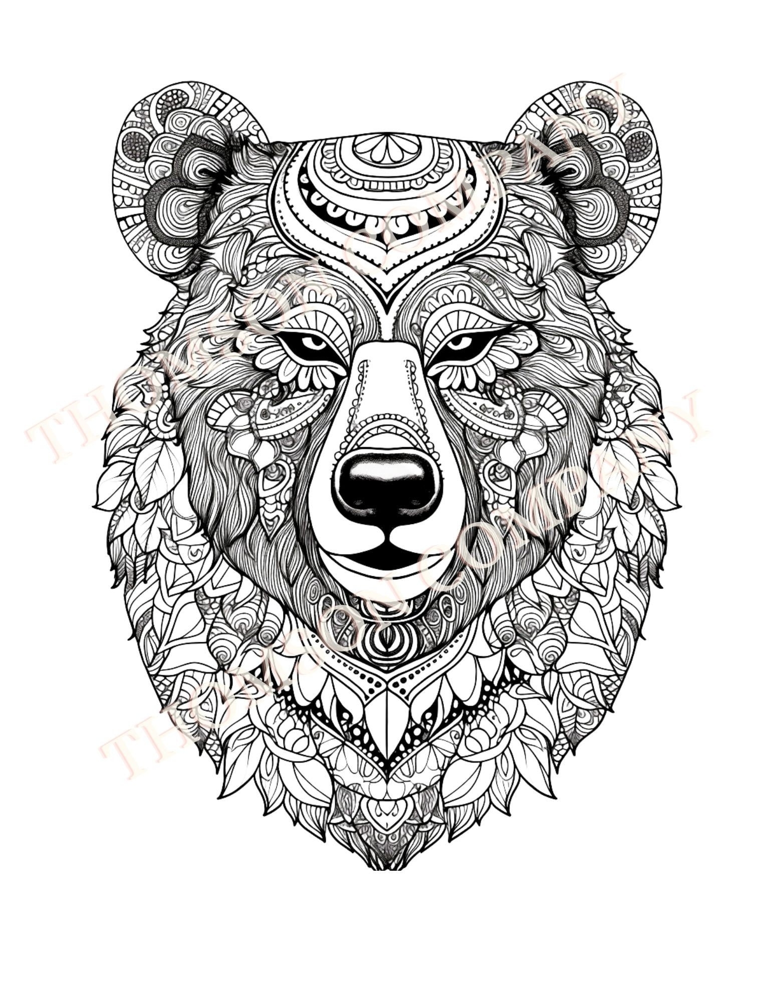 coloring bear pages