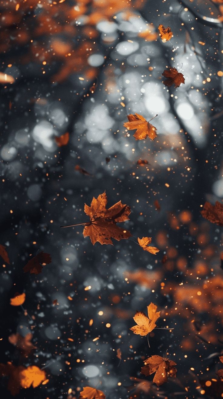40 Stunning And Dreamy Fall Phone Wallpapers Autumn Phone Wallpaper Cute Fall Wallpaper Fall 40 Stunning And Dreamy Fall Phone Wallpapers Autumn Phone Wallpaper Cute Fall Wallpaper Fall