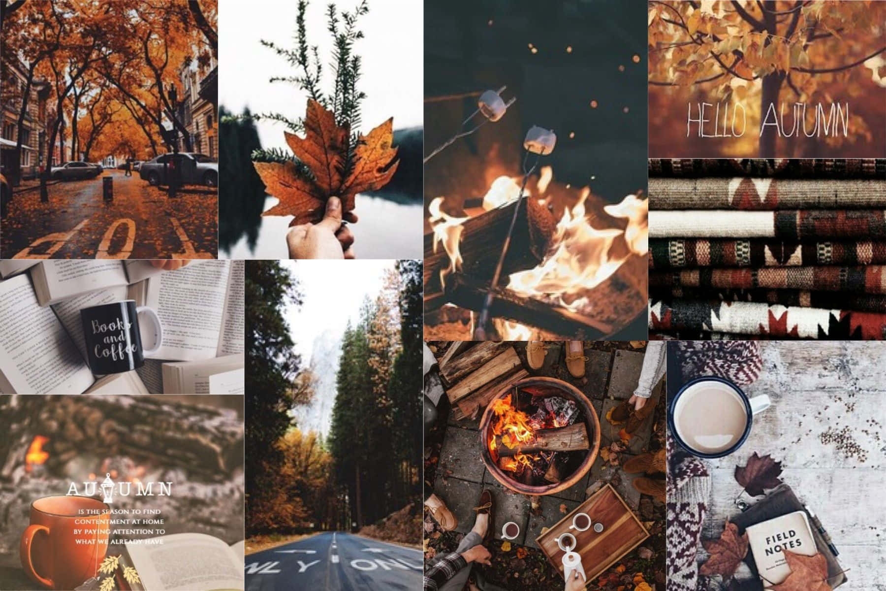 400 Fall Aesthetic Backgrounds Wallpapers