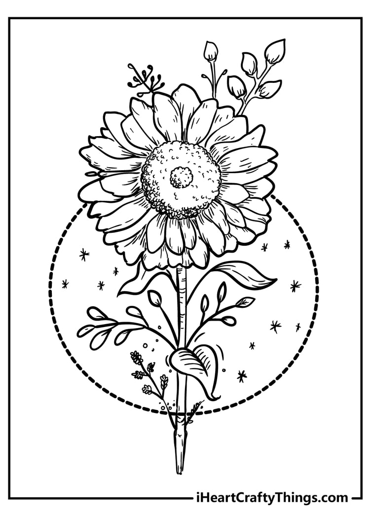 coloring pages for adults flowers