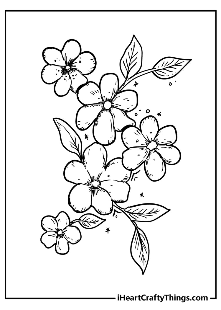 coloring pages of flowers