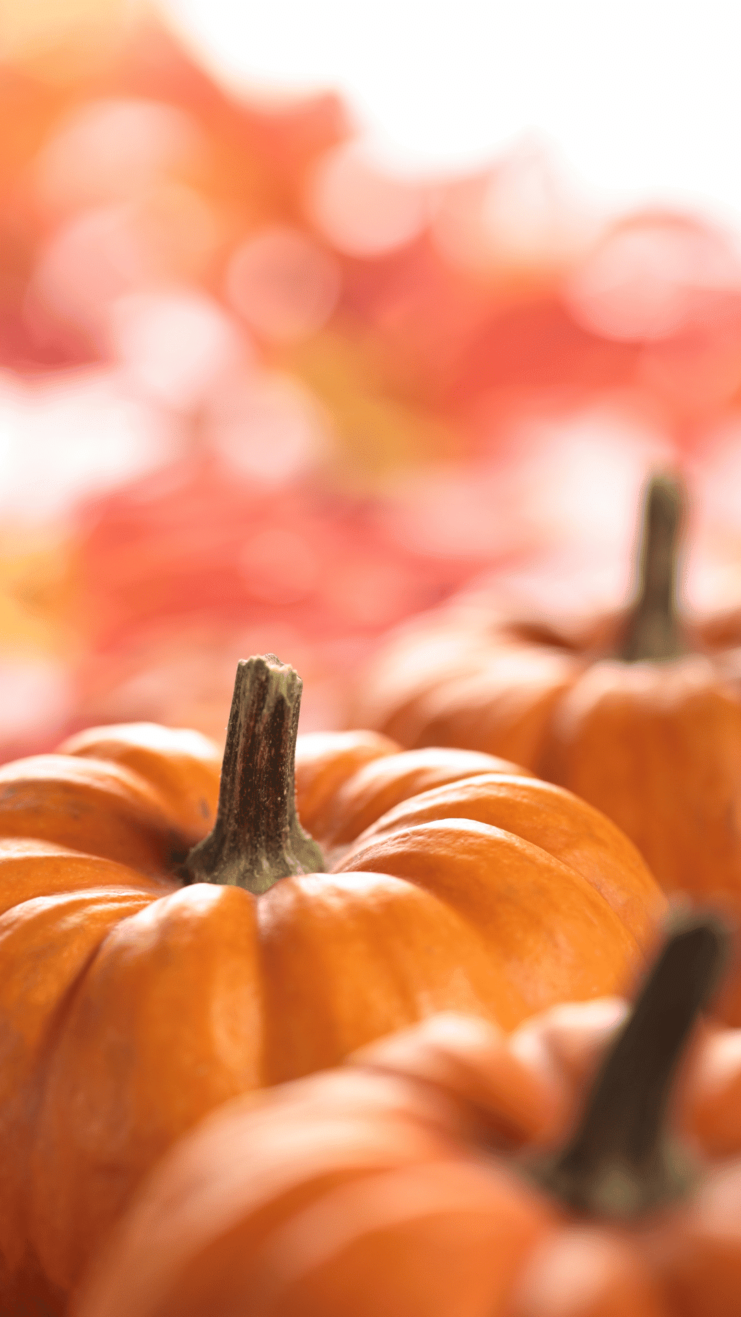 60 FREE Aesthetic Fall Phone Wallpapers For Spooky Season