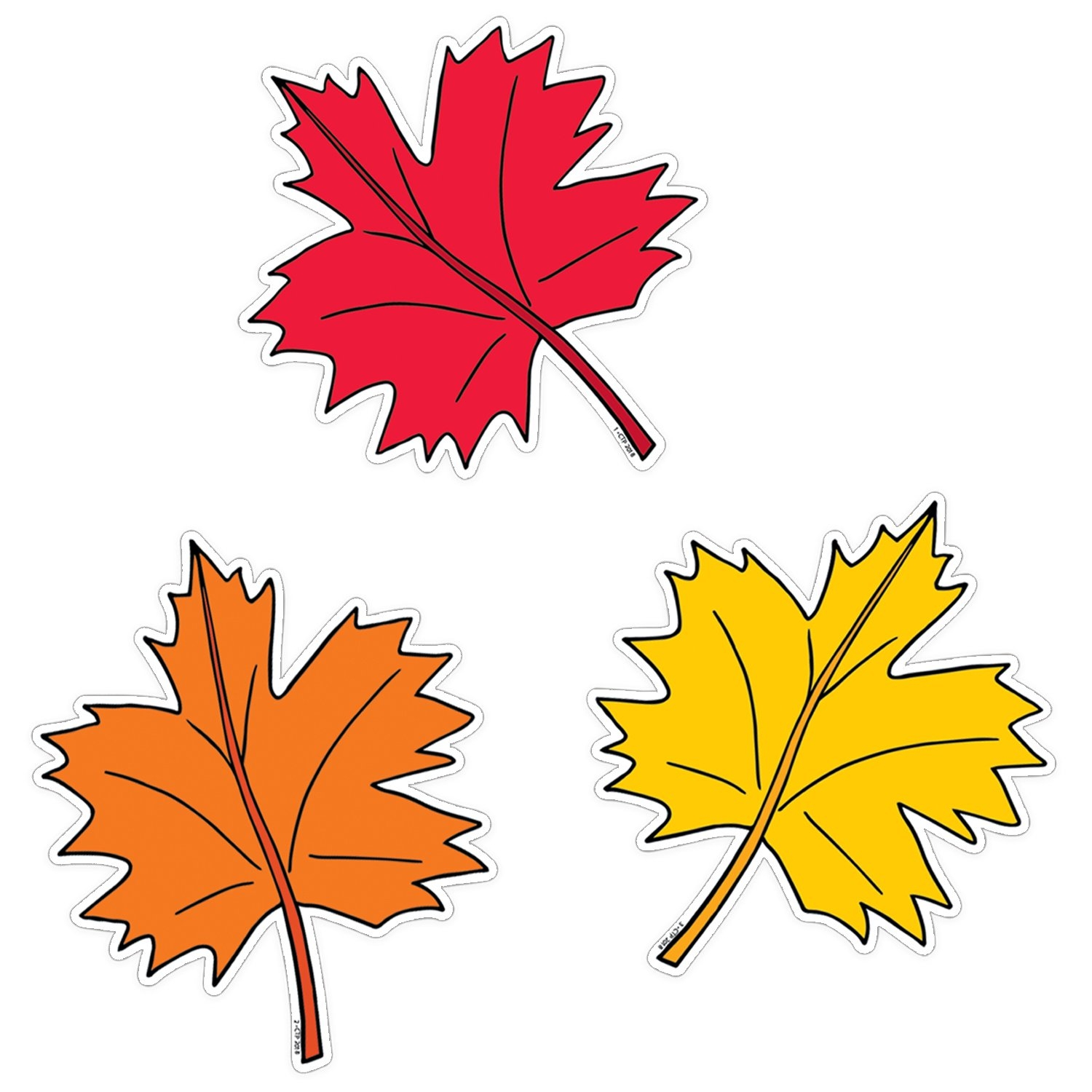 Amazon Creative Teaching Press Fall Leaves 6 Cut Outs 8228 Office Products