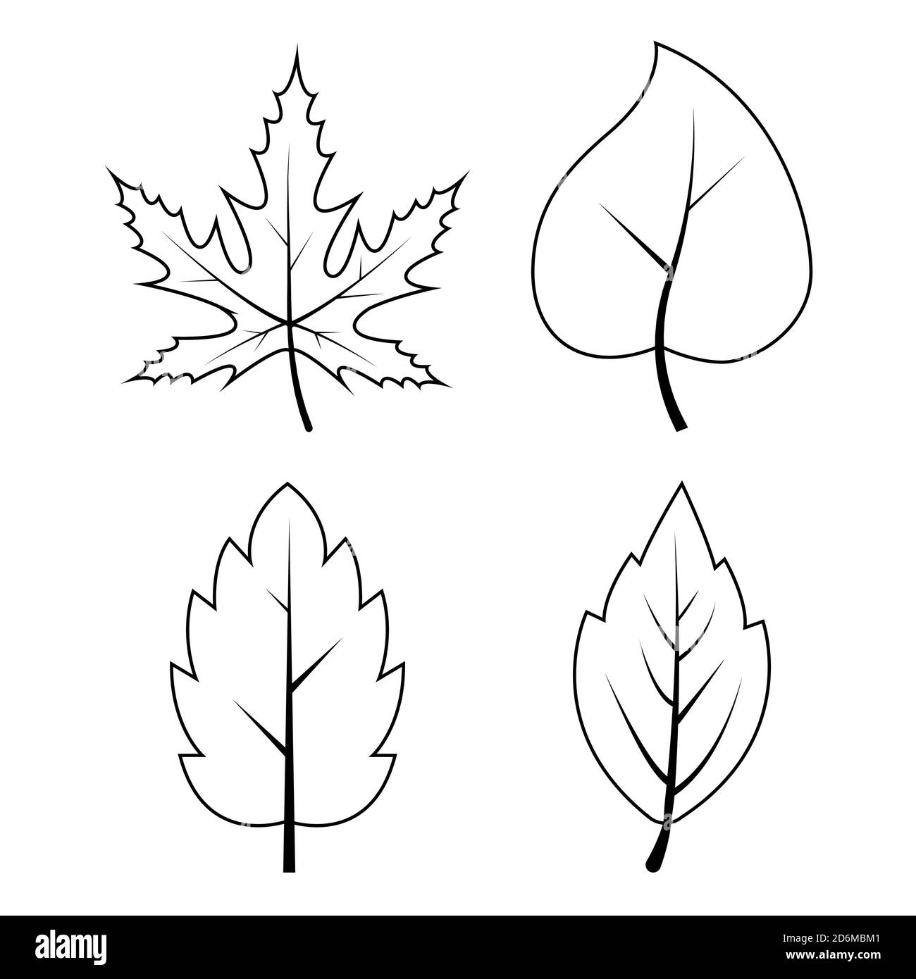 fall leaf outline