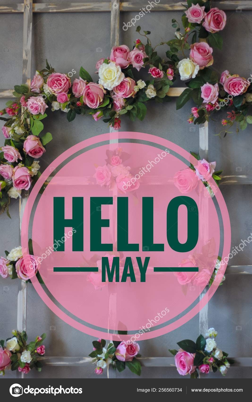 Banner Hello May Welcome Picture New Month Warm Month The Month Of May Spring Month Stock Photo Alenka2194 256560734