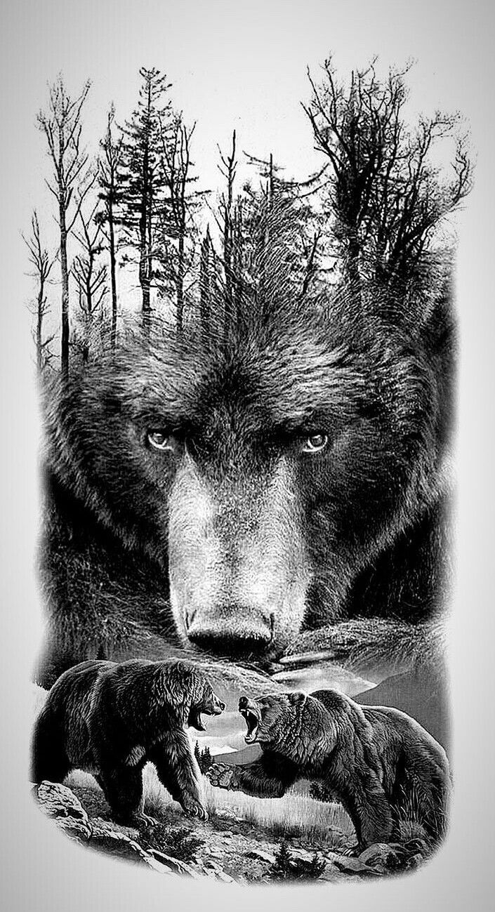 Beautiful Grizzly Bear Art