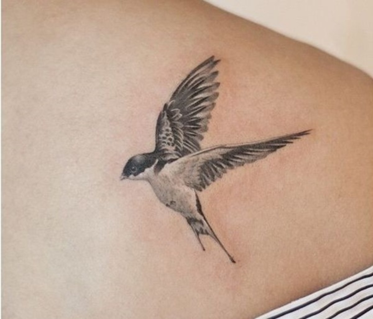 Bird Tattoos Interpreted What Various Birds Mean Represent HubPages