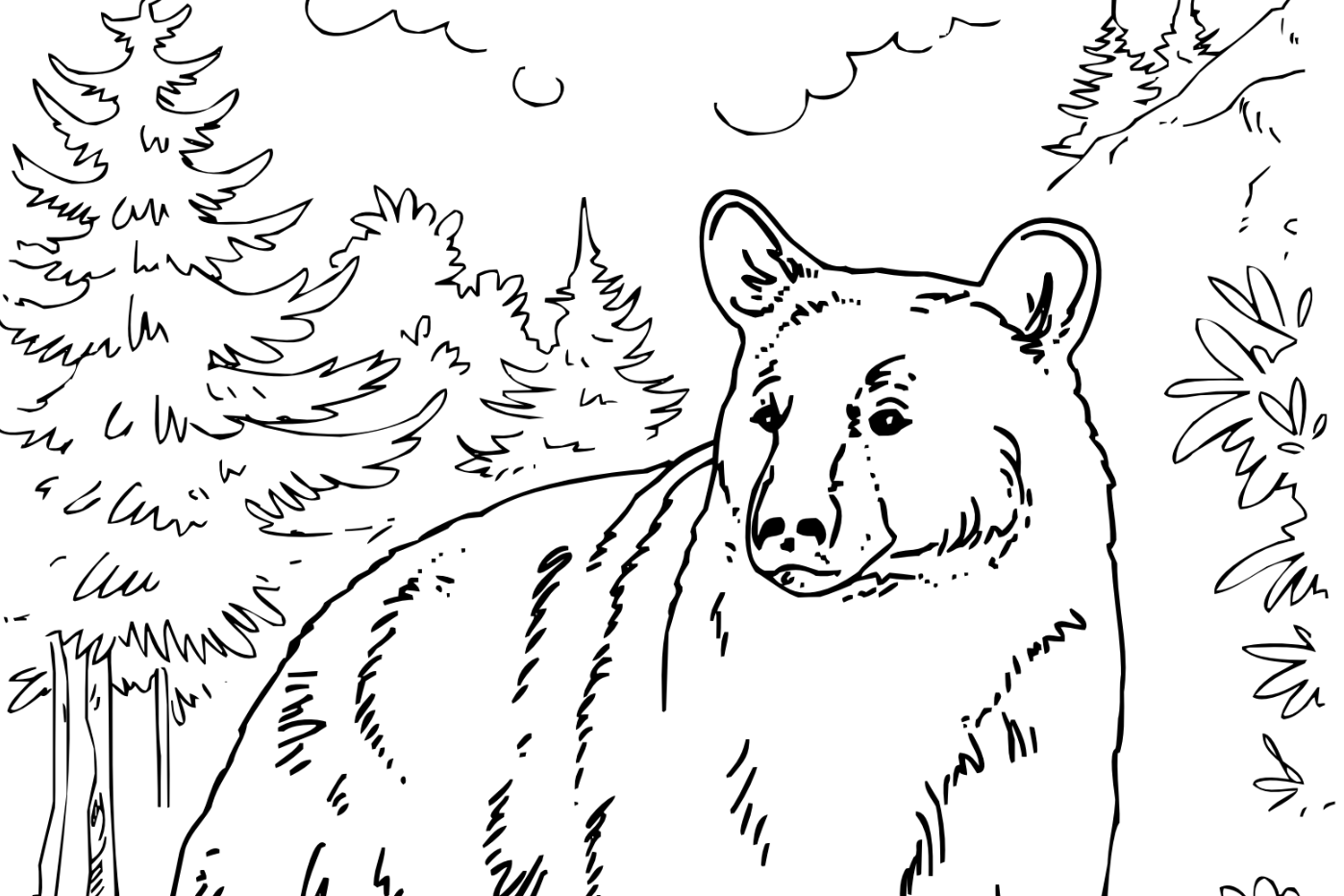 Black Bear Coloring Page Black Bear Coloring Page