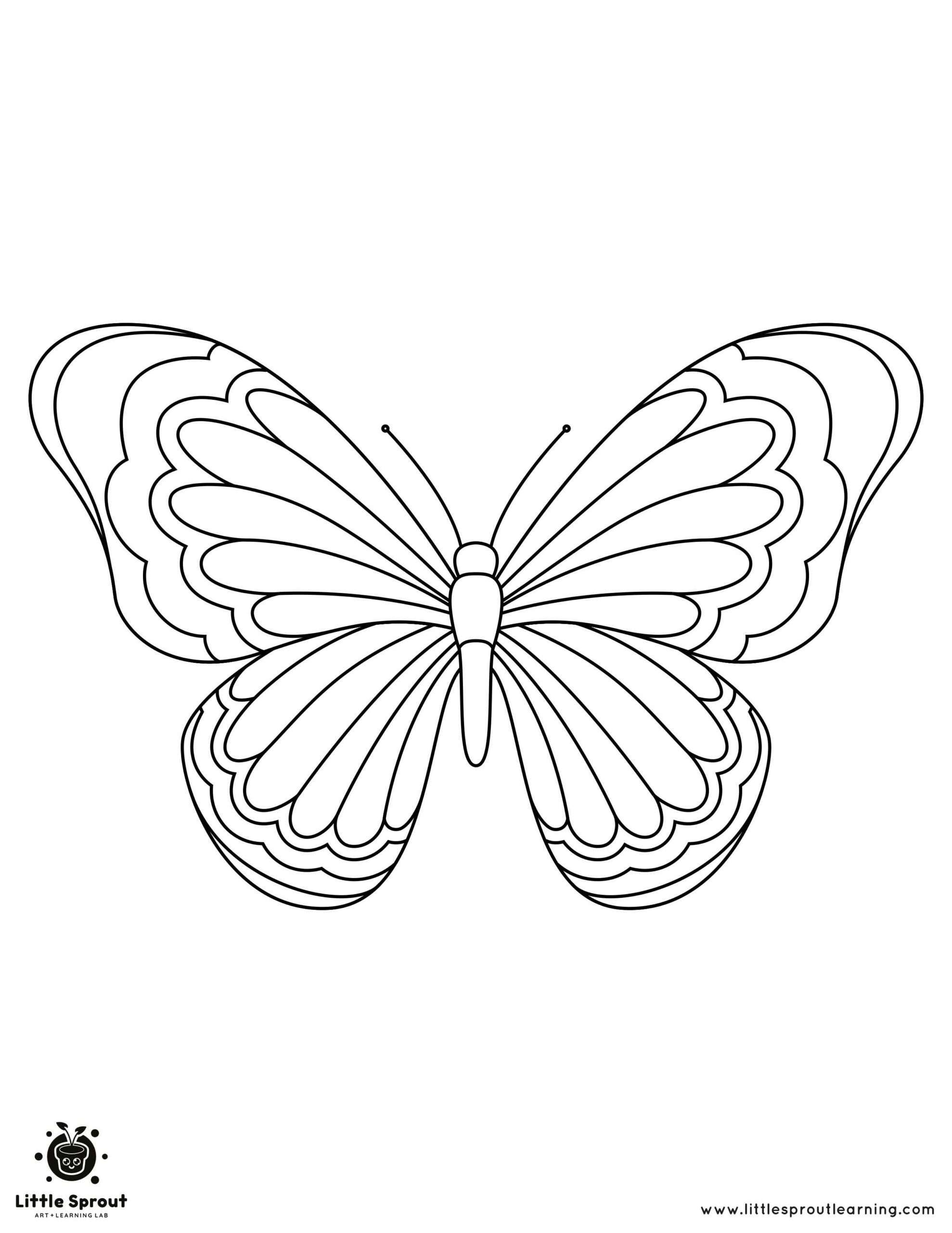 butterfly coloring sheet