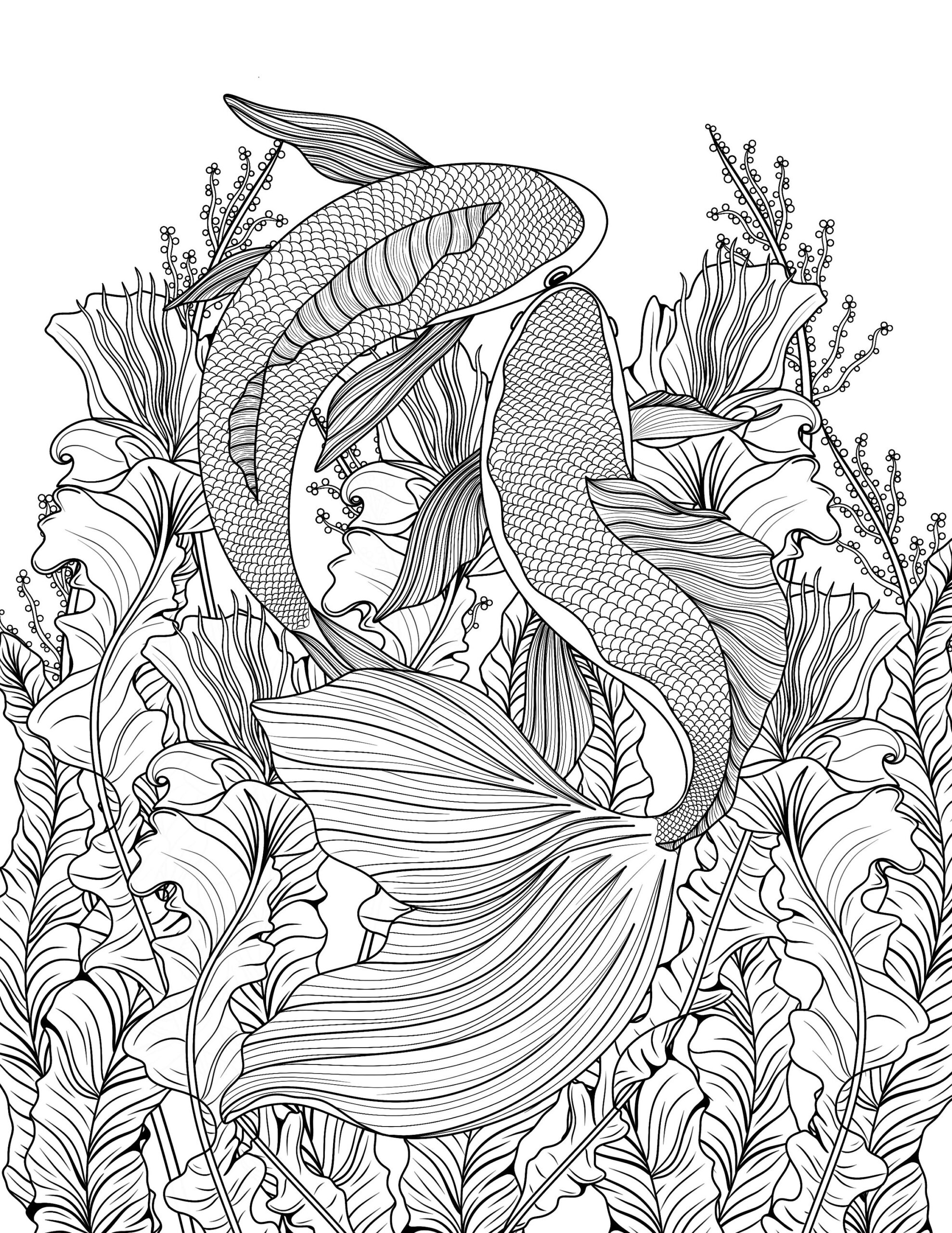 Colouring Pages Koi Coloring KOI FISH Coloring Page For Adults Realistic KOI Fish Coloring
