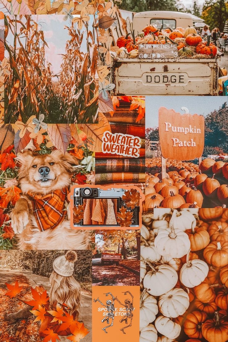 fall wallpaper aesthetic