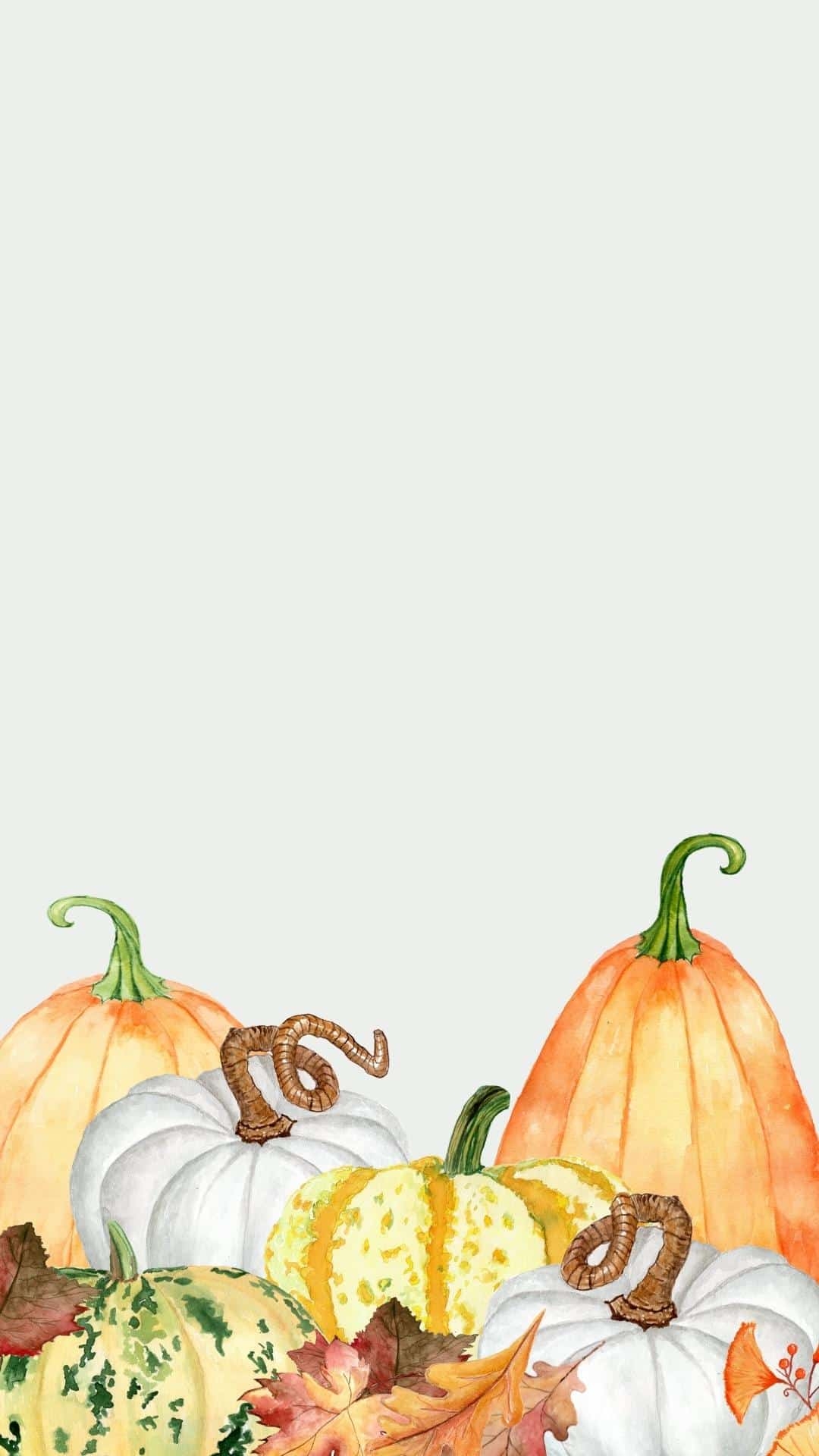 Fall IPhone Wallpaper Backgrounds Free To Download