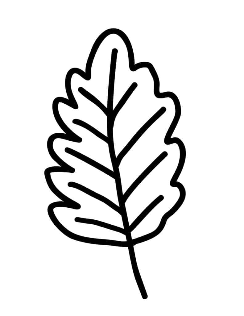 Fall Leaves Printable Outlines And Templates Add A Little Adventure