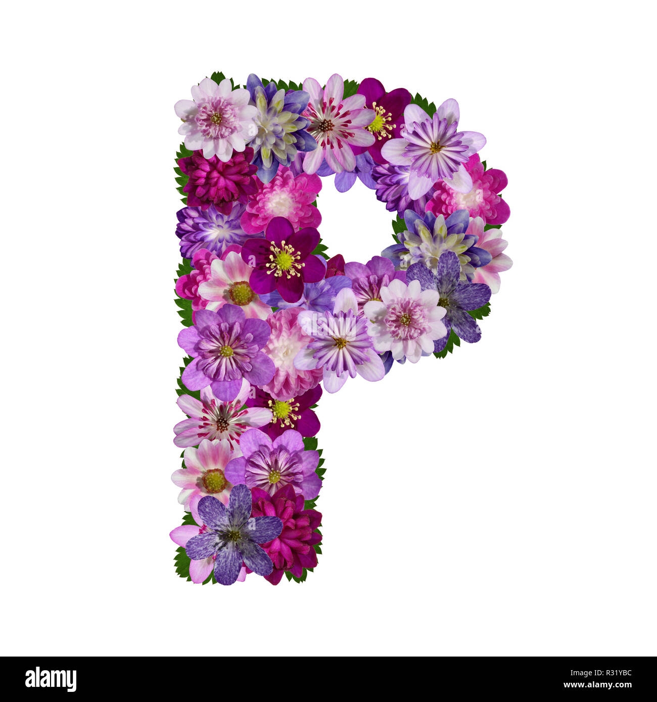 Flowers Alphabet Letter P Stock Photo Alamy Flowers Alphabet Letter P Stock Photo Alamy