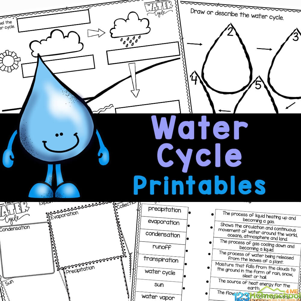 printable water cycle worksheet pdf