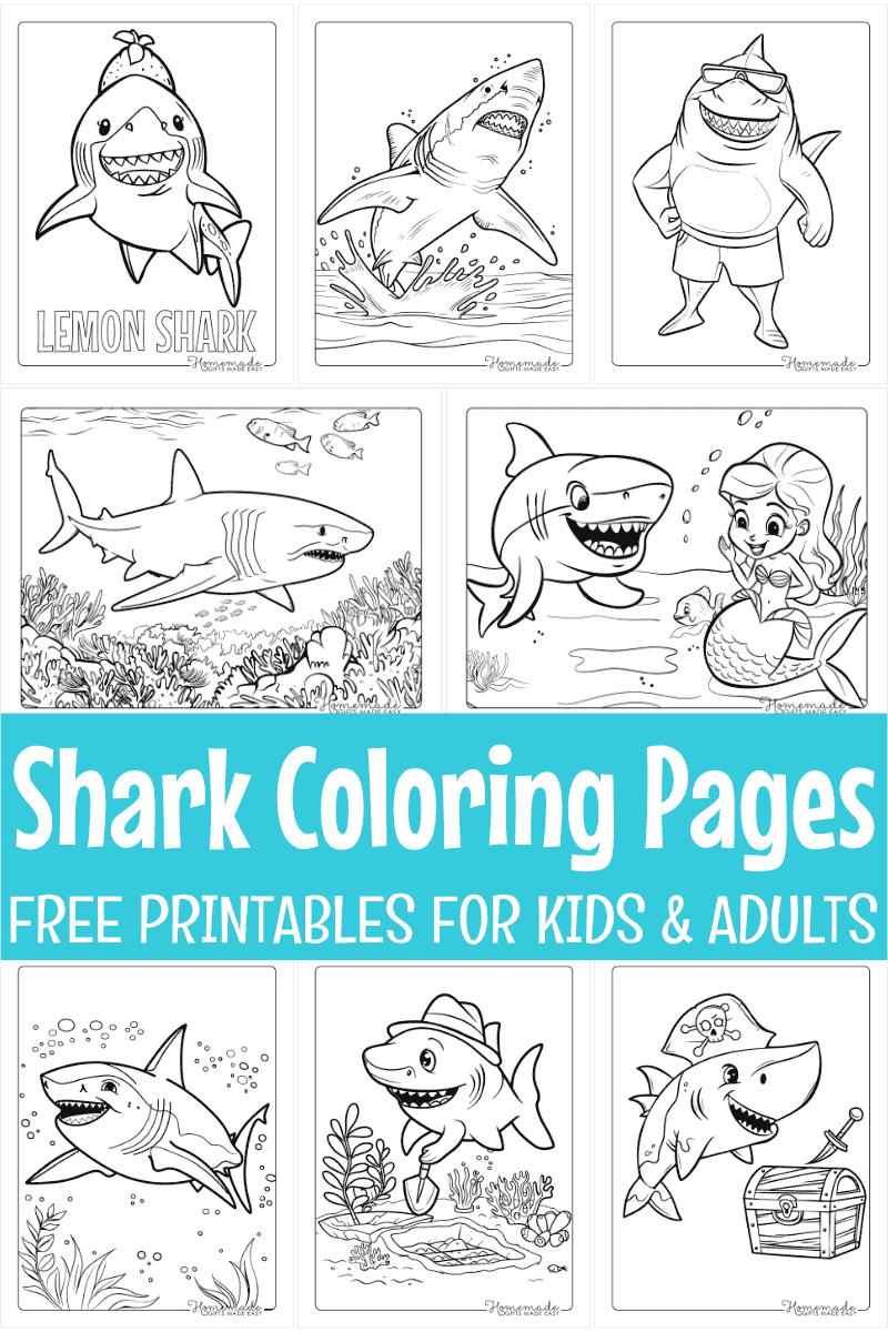 Free Shark Coloring Pages For Kids Adults PDF Printables Free Shark Coloring Pages For Kids Adults PDF Printables