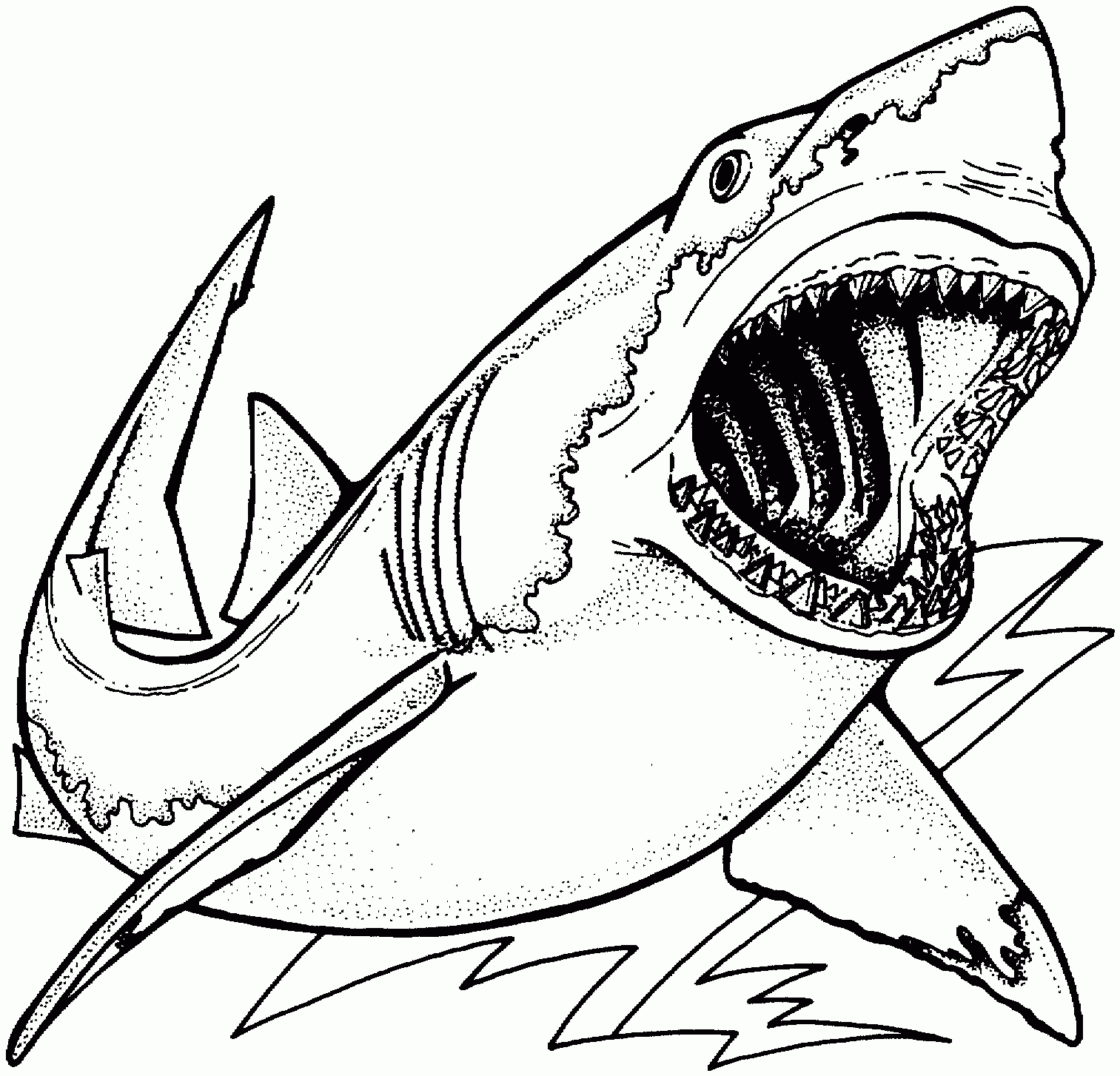 shark coloring page