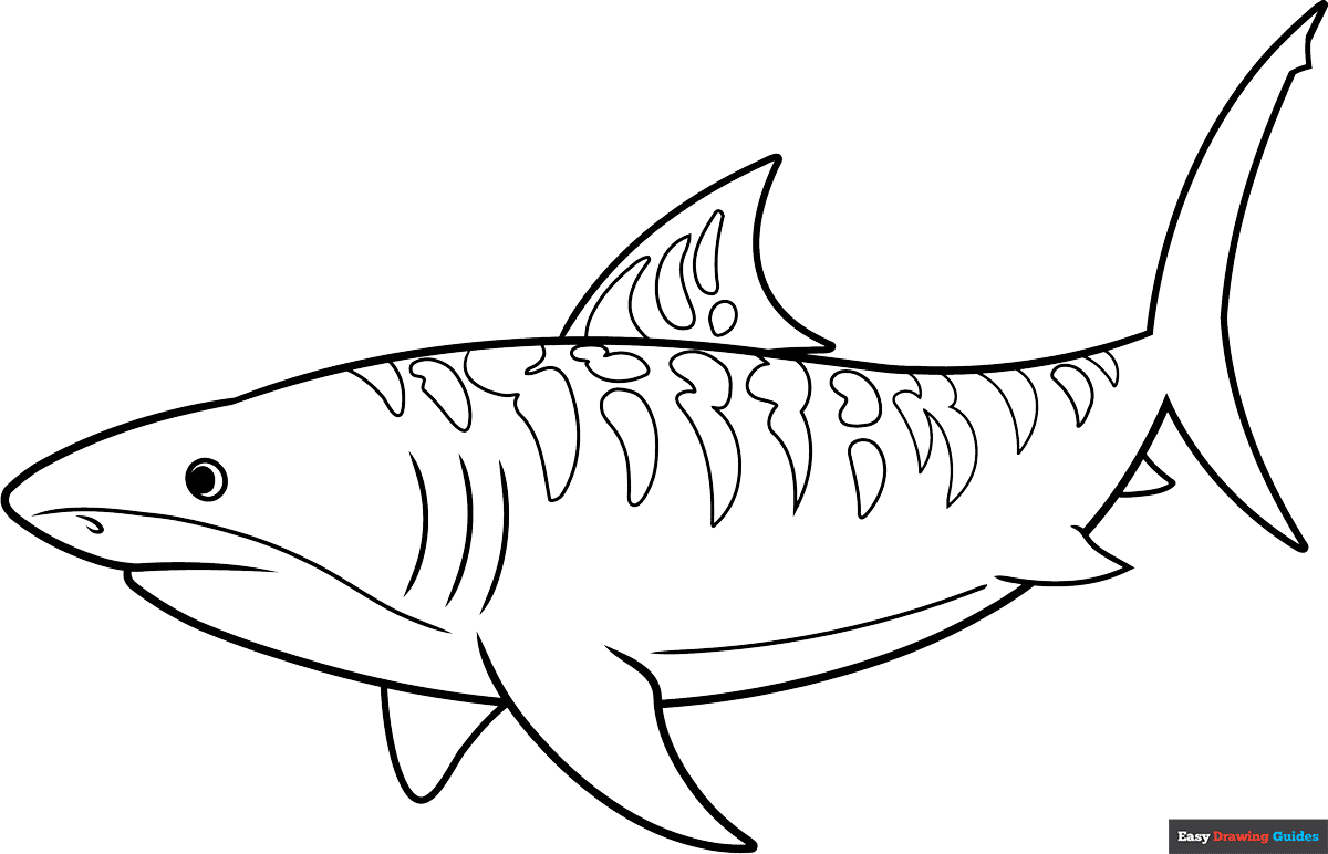 Free Sharks Coloring Pages For Kids 14 Printable Sheets