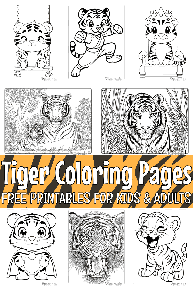 tiger colouring sheets