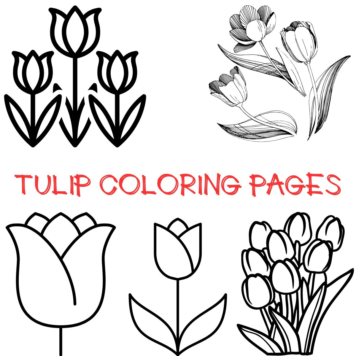 Free Tulip Coloring Pages To Celebrate Spring Free Tulip Coloring Pages To Celebrate Spring