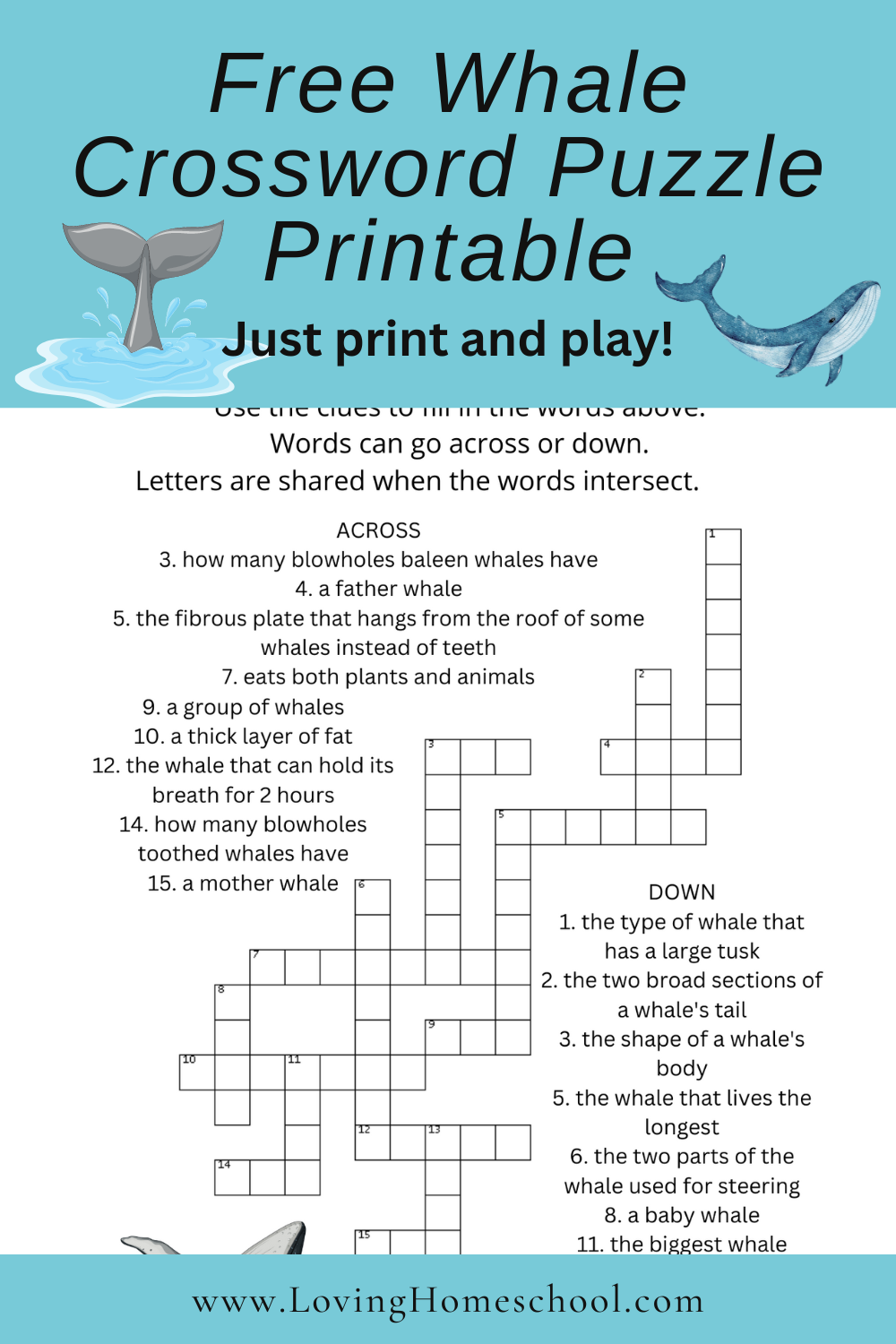 large printable crossword puzzles free large printable crossword puzzles free