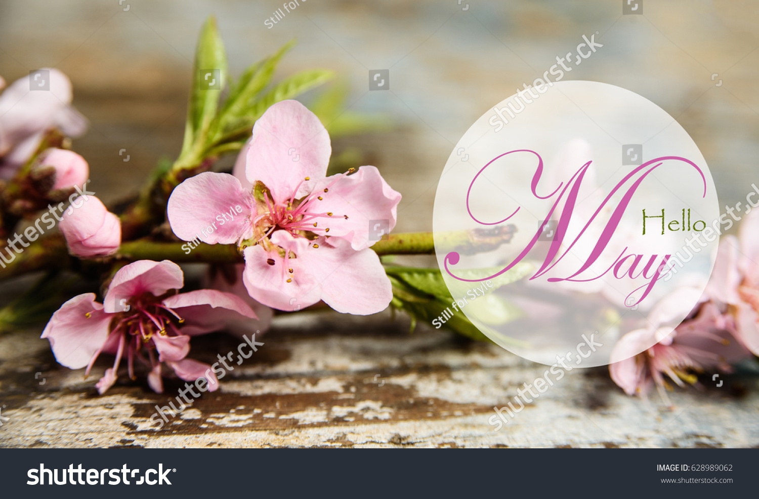 Hello May Banner Blooming Flowers Stock Photo 628989062 Shutterstock