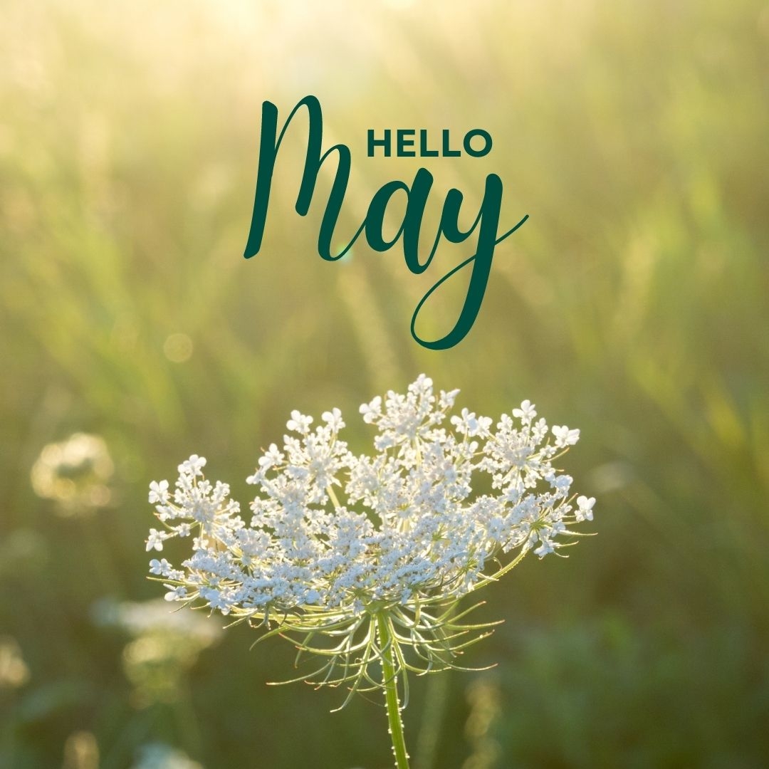 Hello May Boondock Ramblings