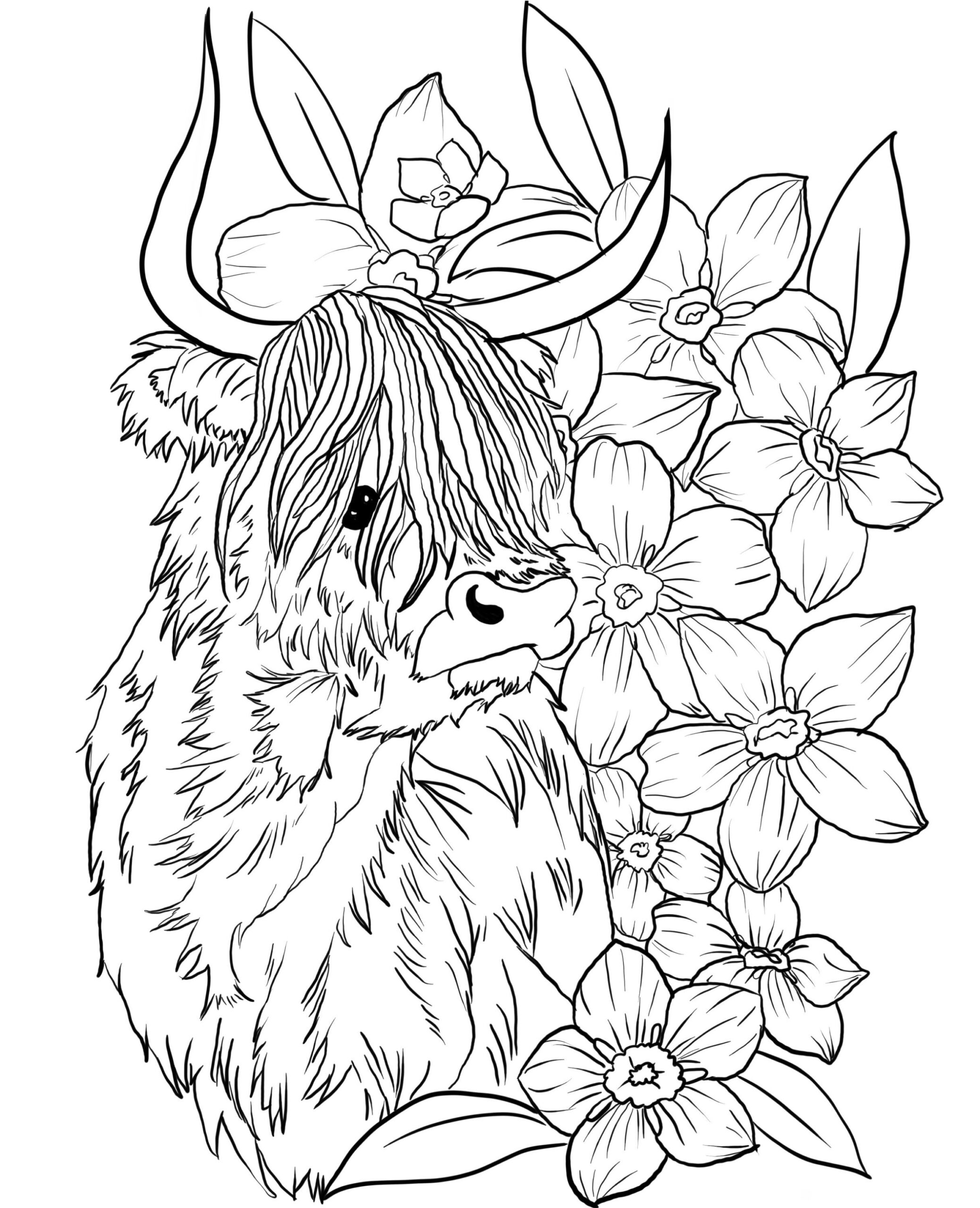 cow print coloring pages cow print coloring pages
