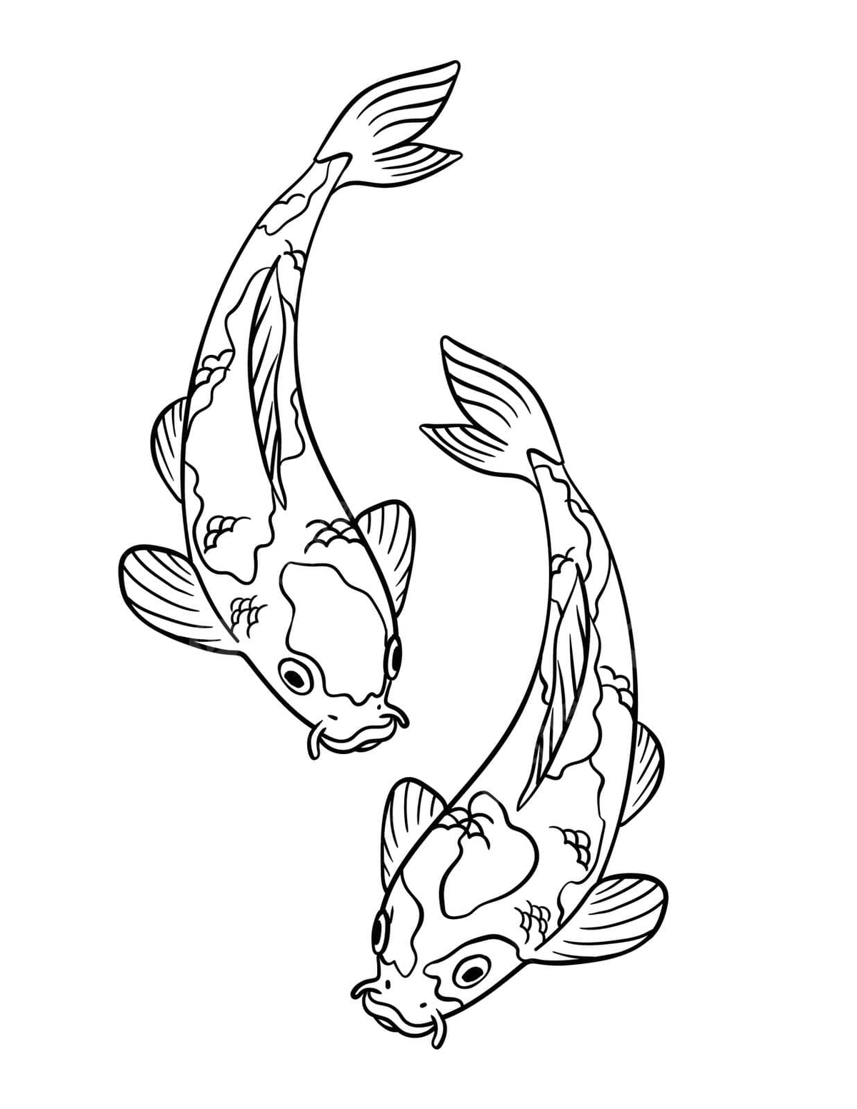 koi fish colouring