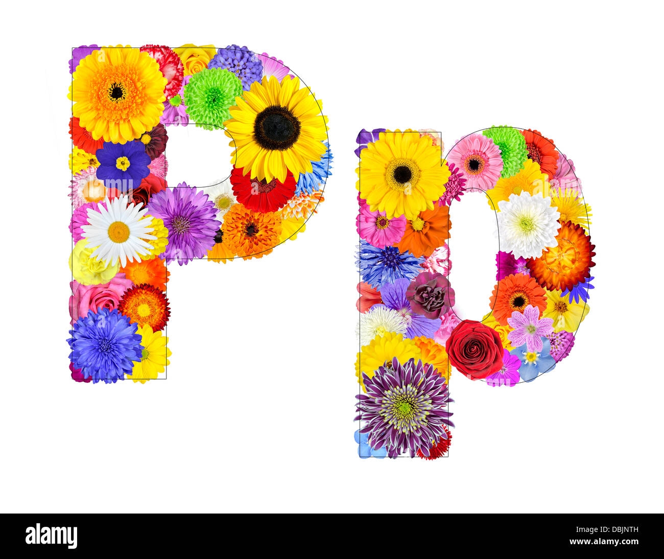 Letter P Of Flower Alphabet Isolated On White Letter Consist Of Many Colorful And Original Flowers Stock Photo Alamy Letter P Of Flower Alphabet Isolated On White Letter Consist Of Many Colorful And Original Flowers Stock Photo Alamy