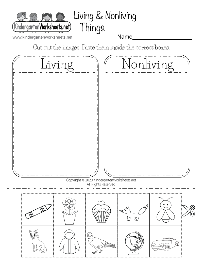 printable science worksheets