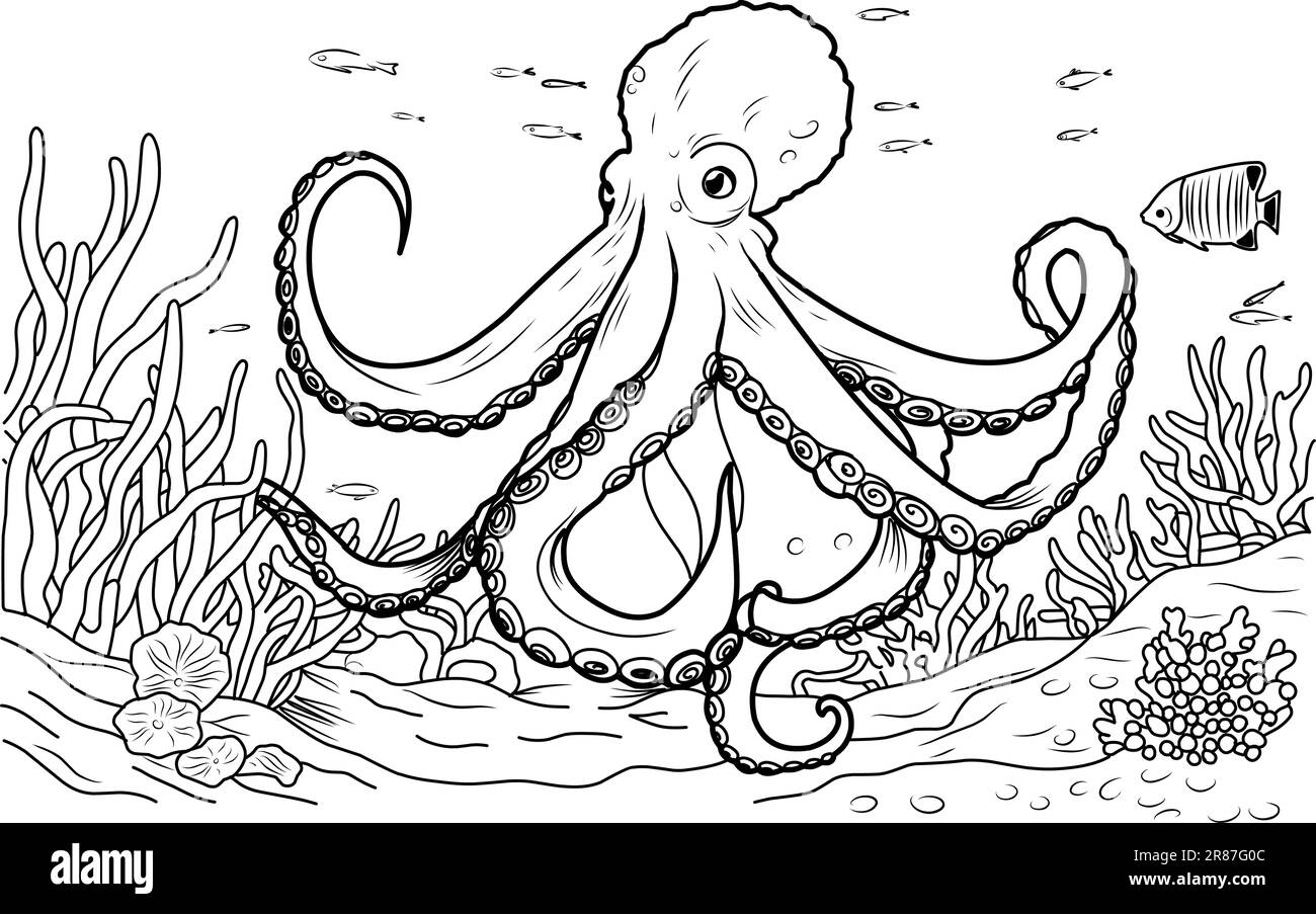 Octopus Coloring Book Coloring Page Simple Line Illustration Of Octopus And Underwater World Stock Vector Image Art Alamy