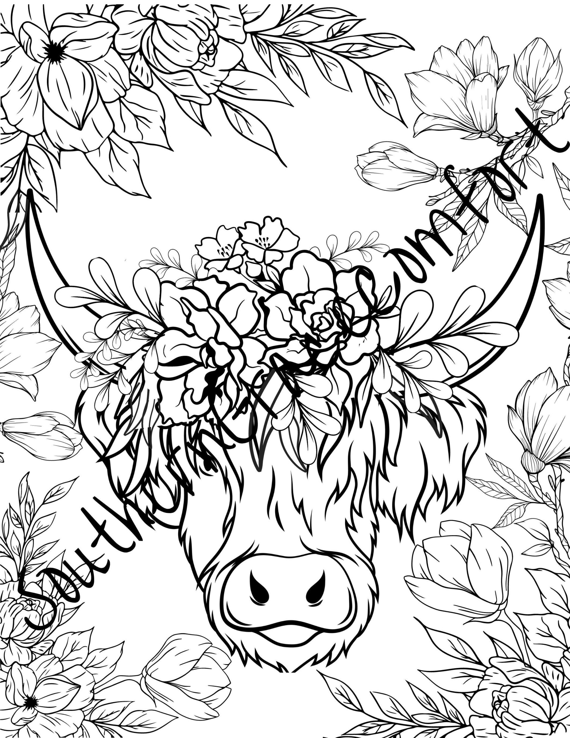Printable Highlander Cow Coloring Sheet Floral Cow Coloring Page Etsy Printable Highlander Cow Coloring Sheet Floral Cow Coloring Page Etsy