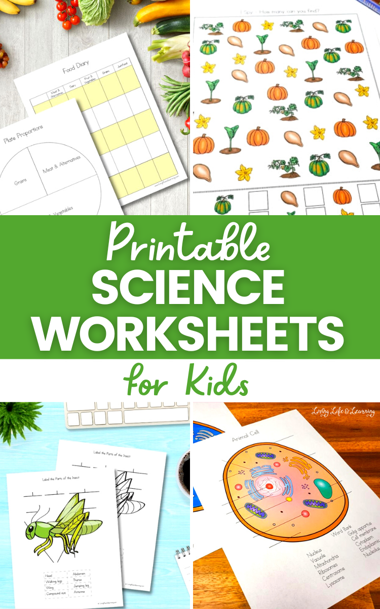 science worksheets printable science worksheets printable