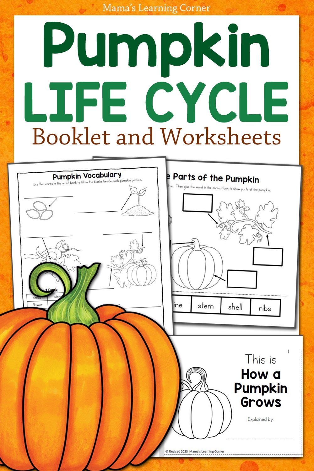 Pumpkin Life Cycle Worksheets Mamas Learning Corner