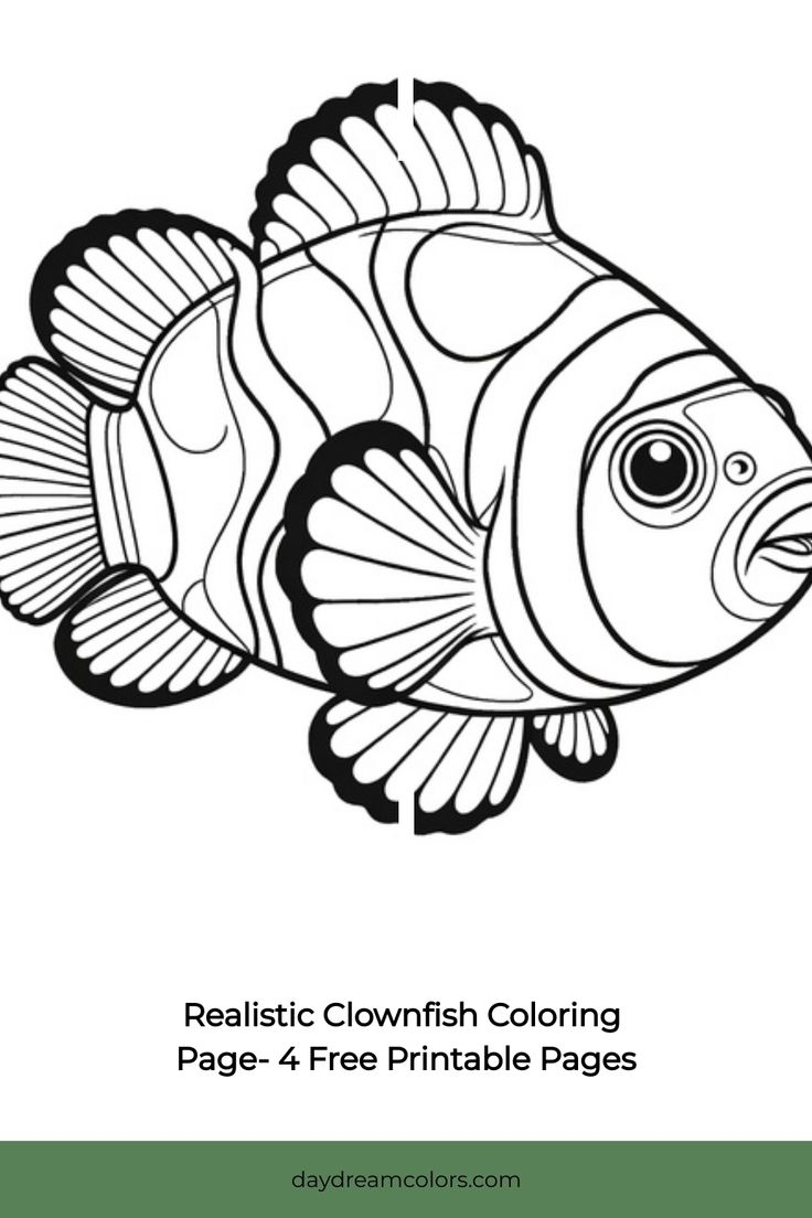 fish coloring pages