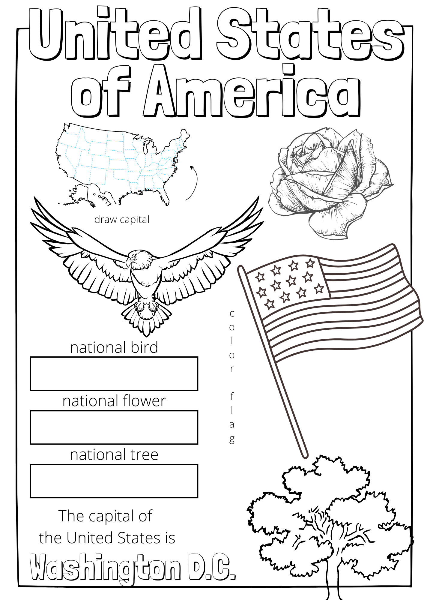 free printable 50 states printable worksheets
